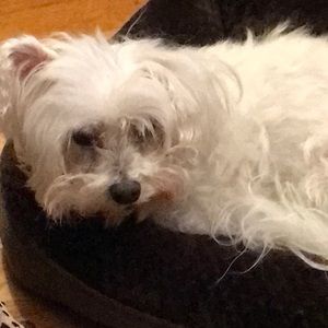 Meet your Posher, Laurue